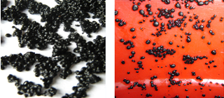 6731¶¥¼¶ÓÎÏ·(ÖйúÇø)-¹Ù·½ÍøÕ¾